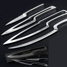 Stainless Steel Fruit and Kitchen Knife Set