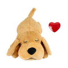 Soft Comfort Pet Toy for Cats and Dogs
