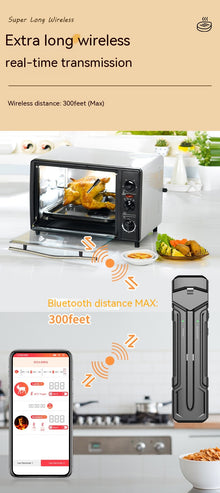 Wireless Digital Kitchen Oven Thermometer with Dual Probes