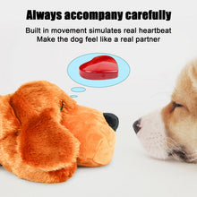 Soft Comfort Pet Toy for Cats and Dogs