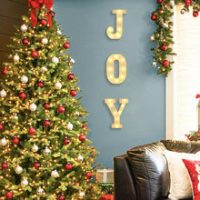 JOY LED Light-Up Letter Sign Christmas Decoration