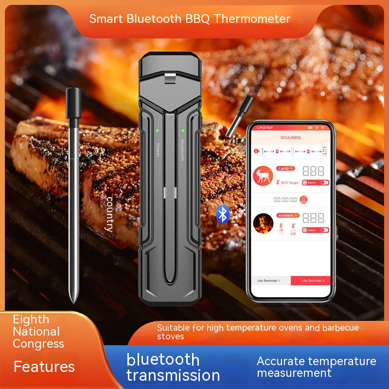 Wireless Digital Kitchen Oven Thermometer with Dual Probes