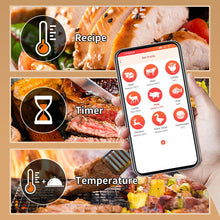 Wireless Digital Kitchen Oven Thermometer with Dual Probes